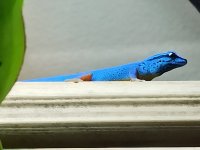 IMG_20210507_173228_2.jpg