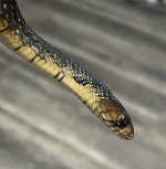 C551E07C-A269-4AB3-ACFF-6BD8EEB54A84.jpg