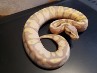 2-banana.jpg