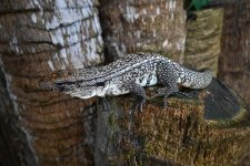 DSC_4956.jpg
