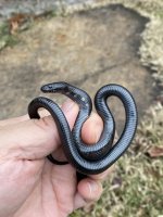 B8C8625E-9E61-4951-B0C5-F6C6EC6B0F05.jpg
