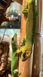 IMG_7234.jpg