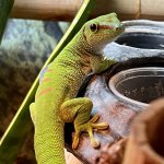 IMG_7232.jpg
