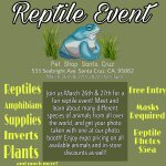 Reptile Event Flyer.jpg