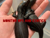 57A8967B-EC4C-4340-AB02-234E783EF9F3.jpg