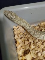 IMG_20220121_185459891.jpg