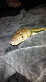 IMG_20220102_192906_629.jpg