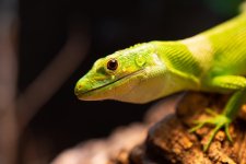 20220613183330.869-4AC97EB8-AE70-4733-B-1500x1500s.jpg