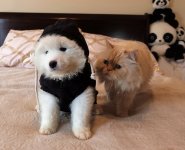 Everett with Casper.jpg