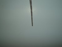 2022_0515Paradoxhypotransleat0019.JPG