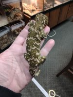 IMG_20220208_164141591.jpg