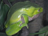 DSCF1806.jpg