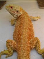 IMG_1829.JPG