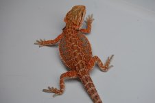 DSC_1023.jpg
