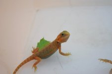 IMG_3983.jpg
