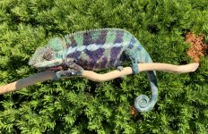 IMG_3276.jpg
