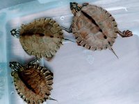 IMG_20220312_170249987.jpg