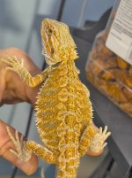 IMG_0348b.jpg