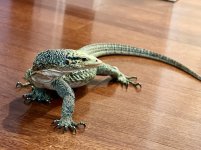 IMG_6959.jpg