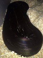 20181119_001813.jpg