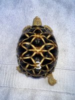 IMG_3180__01.jpg