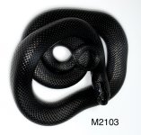 A36DDD98-845C-467F-8BA0-BDBC2DB61246.jpg