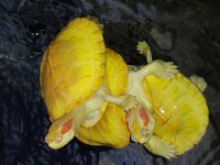 IMG_20220516_121501024.jpg