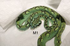 DBFE5269-07C4-4084-AAB2-C7AB2EAE81A6.jpg