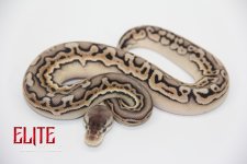 PewterPuzzleF514221-90g.jpg