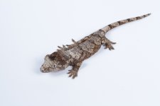 RoNy0221 - 2.jpg
