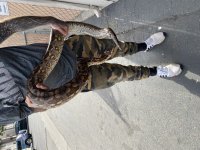 IMG_2881.jpg
