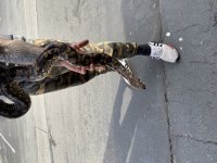 IMG_2872.jpg