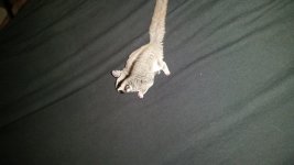 20170912_184245.jpg