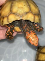 IMG_2357.jpg
