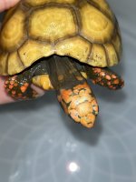 IMG_2364.jpg