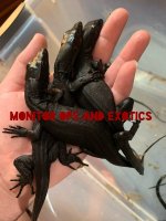 C1BA3CD4-8289-4210-9EBC-F9F3A1BD65E6.jpg