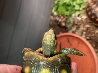 7E20C06A-8357-4D68-8658-04C791E4CF75.jpg