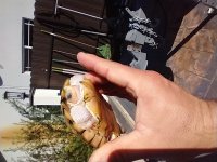 IMG_20211128_141111232.jpg