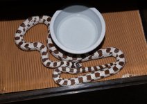 IMG_6507.jpg
