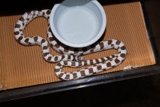IMG_6508.jpg