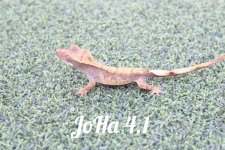 JoHa 4.1.jpg