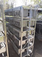 cage13.jpg