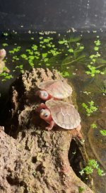 D0ECCDCE-859C-4100-A0A9-0E09AB95844F.jpg