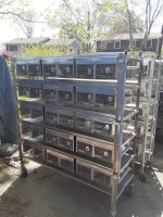 cage12.jpg
