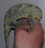 DSC_0469.jpg