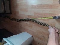 20220122_174625.jpg