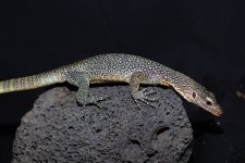 IMG_8910.jpg