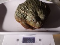 426A0171-0D77-4B8F-B0DB-E413CE6C8E13.jpeg