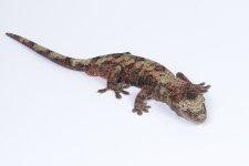 DaMi0120 - 2.jpg