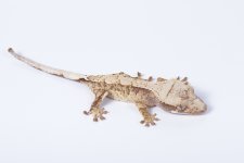 LeMy0321 - 2.jpg